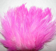����� ������� ������  �� ���� ( Rooster Str�amer ) ������� �������